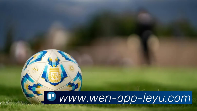 乐鱼官网服务体系